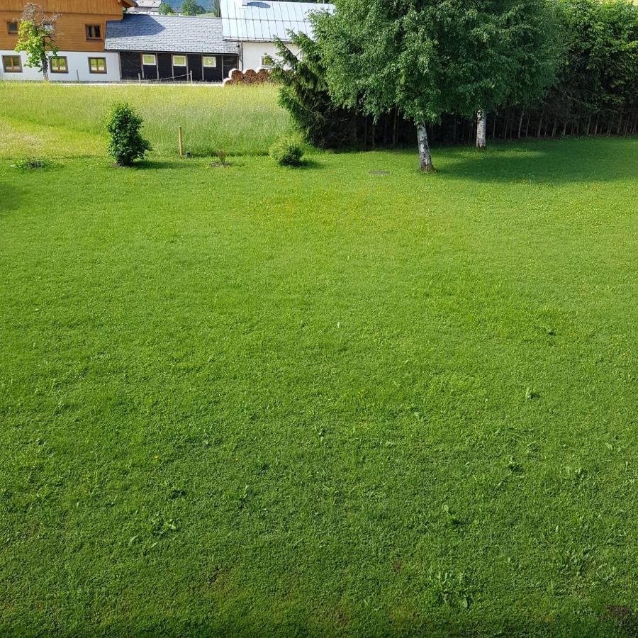 Apartment Dachsteinblick Bad Aussee Buitenkant foto