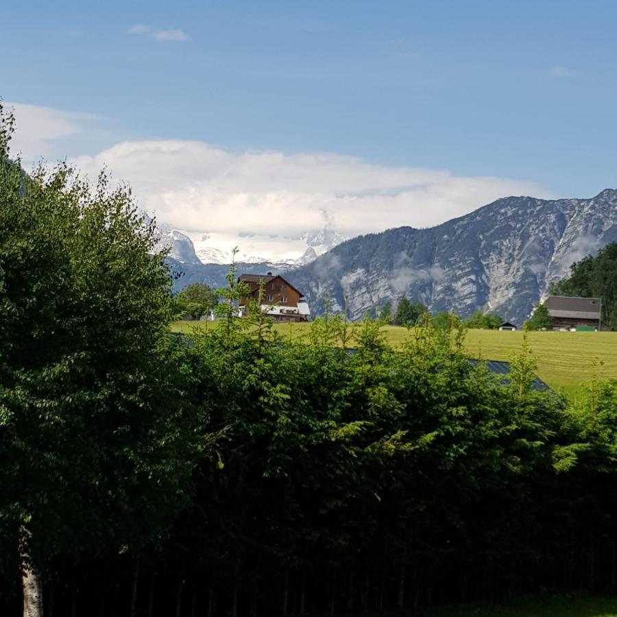 Apartment Dachsteinblick Bad Aussee Buitenkant foto